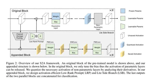 Unifying Structure and Activation: A Comprehensive Approach of Parameter and Memory Efficient Transfer Learning