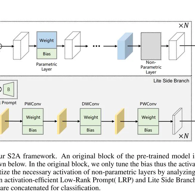 Unifying Structure and Activation: A Comprehensive Approach of Parameter and Memory Efficient Transfer Learning